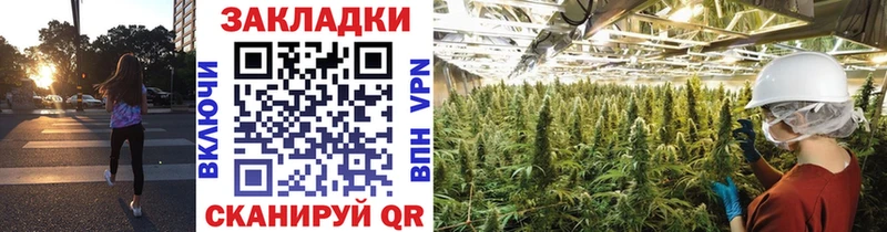Лсд 25 Знаменск
