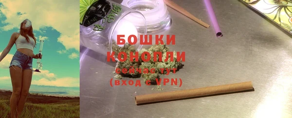 PSILOCYBIN Артём