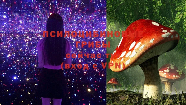 PSILOCYBIN Артём