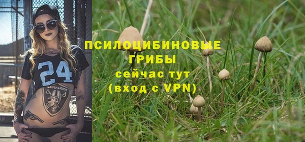 PSILOCYBIN Артём