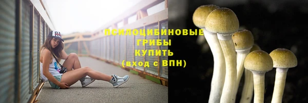 MDMA Premium VHQ Бердск