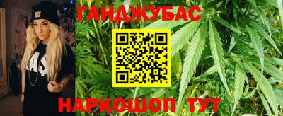 мяу мяу мука Гай