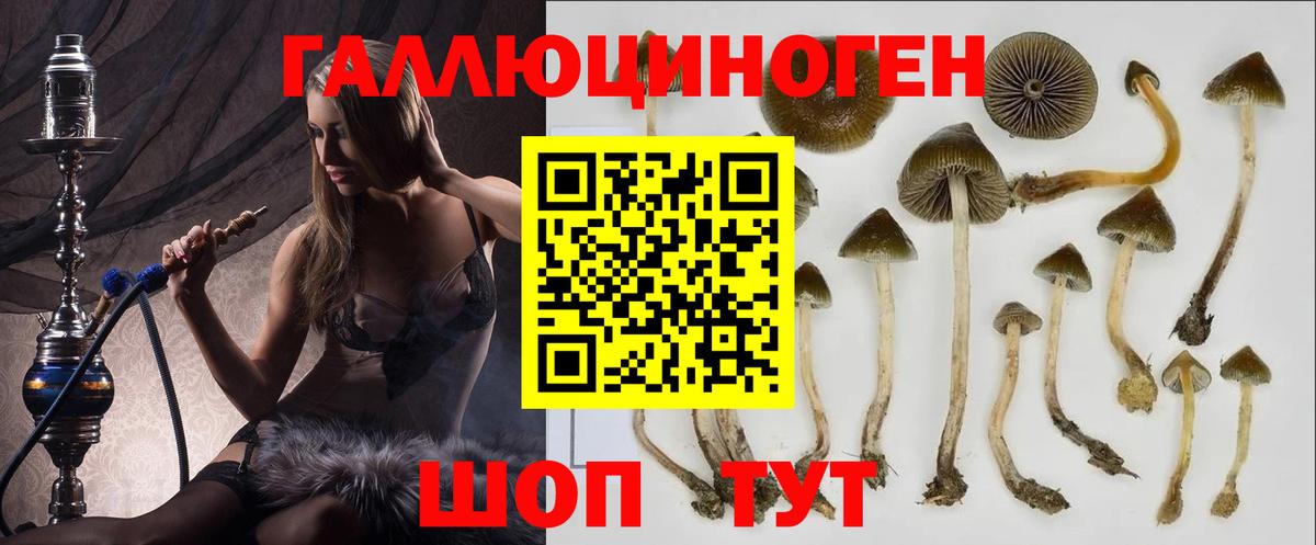 Галлюциногенные грибы ЛСД Знаменск