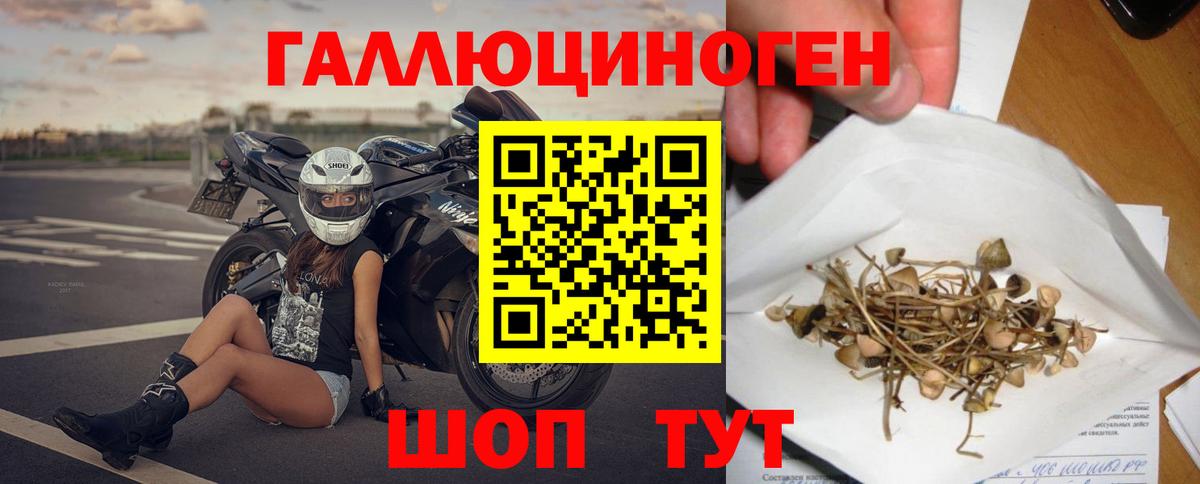 Псилоцибиновые грибы GOLDEN TEACHER  Вход с VPN  Знаменск 
