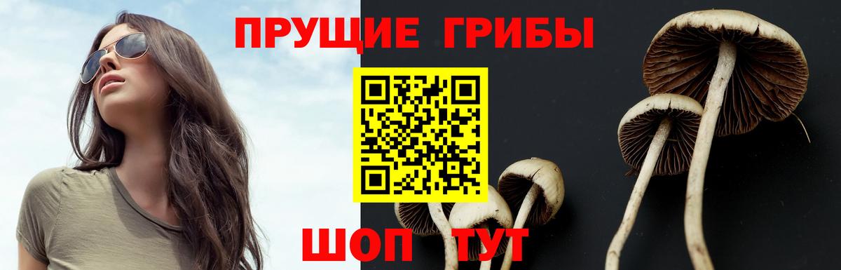 Галлюциногенные грибы GOLDEN TEACHER Знаменск