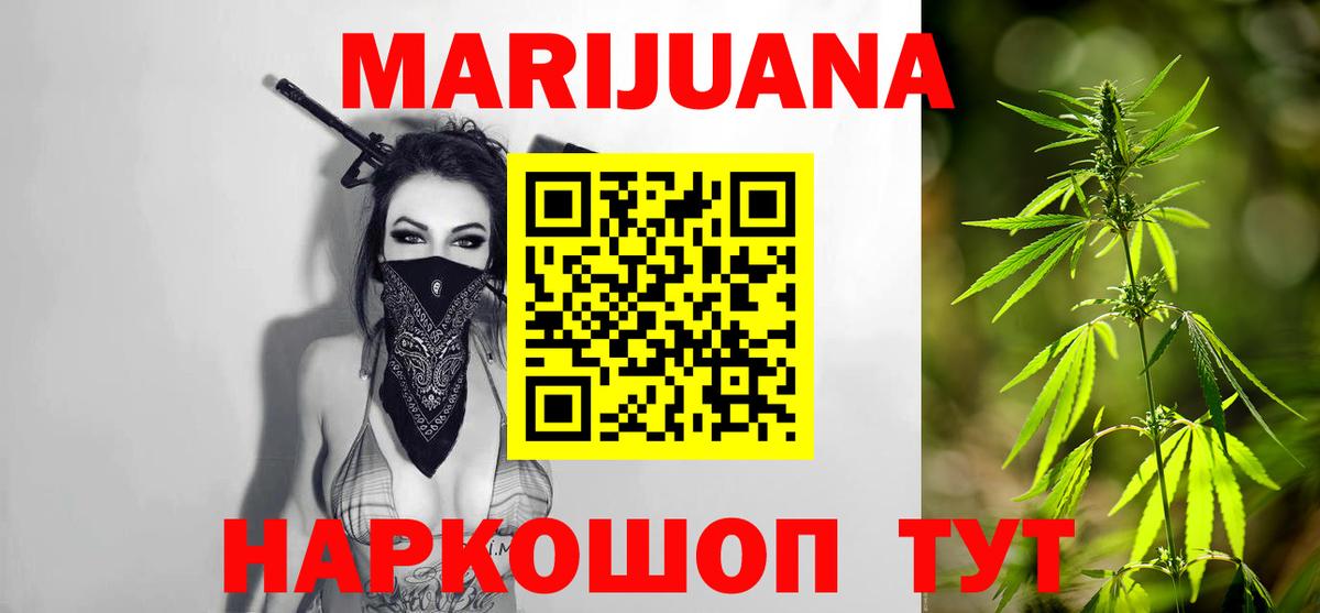 Канабис конопля Знаменск