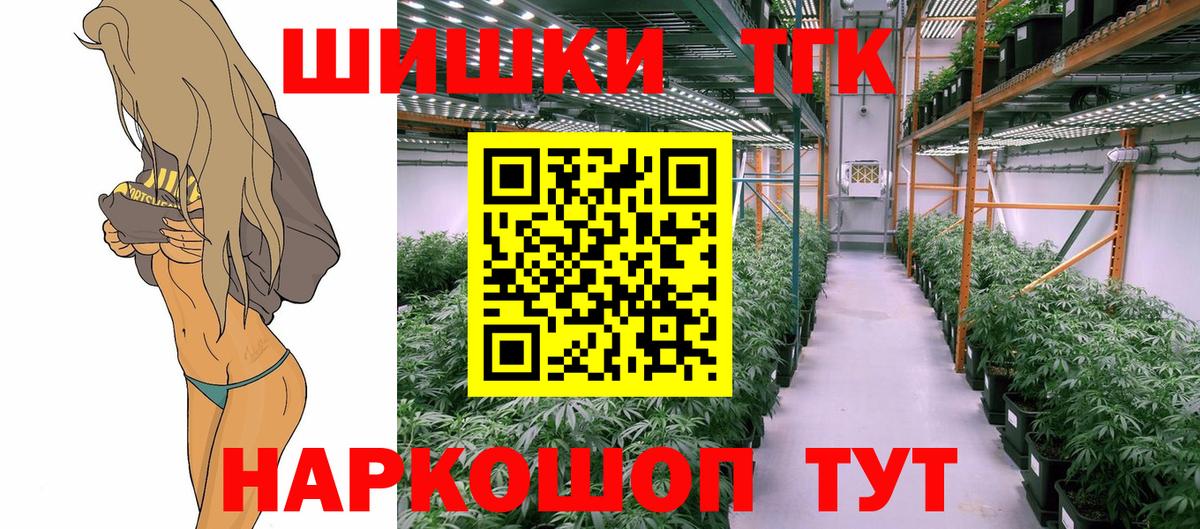 ГАШ Знаменск